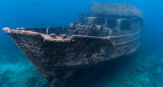 Atlantic princess wreck